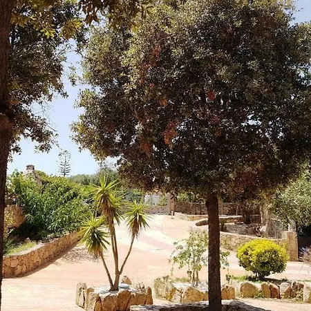 Saba Lejlighed Olbia