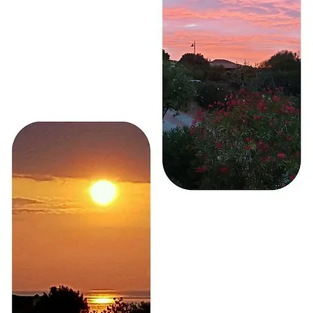 Διαμέρισμα Saba Όλμπια