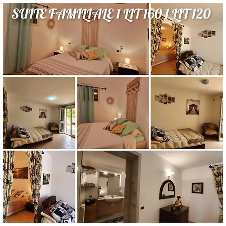 Saba Apartamento Olbia