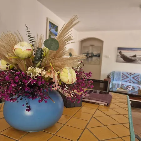 Apartment Saba *