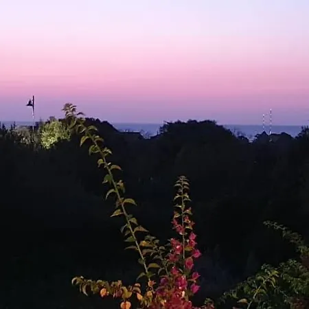 Apartment Saba Olbia