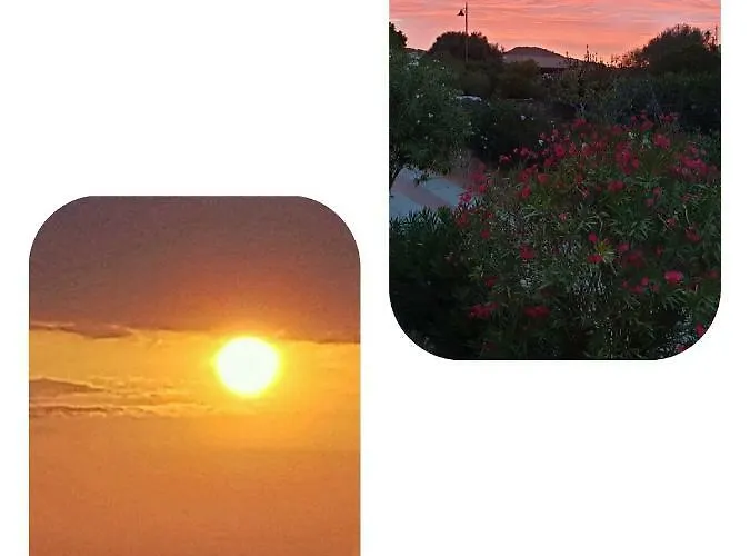 Apartment Saba Olbia